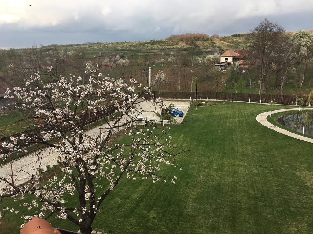 Pensiunea Amurg Mesesenii de Sus Exterior photo